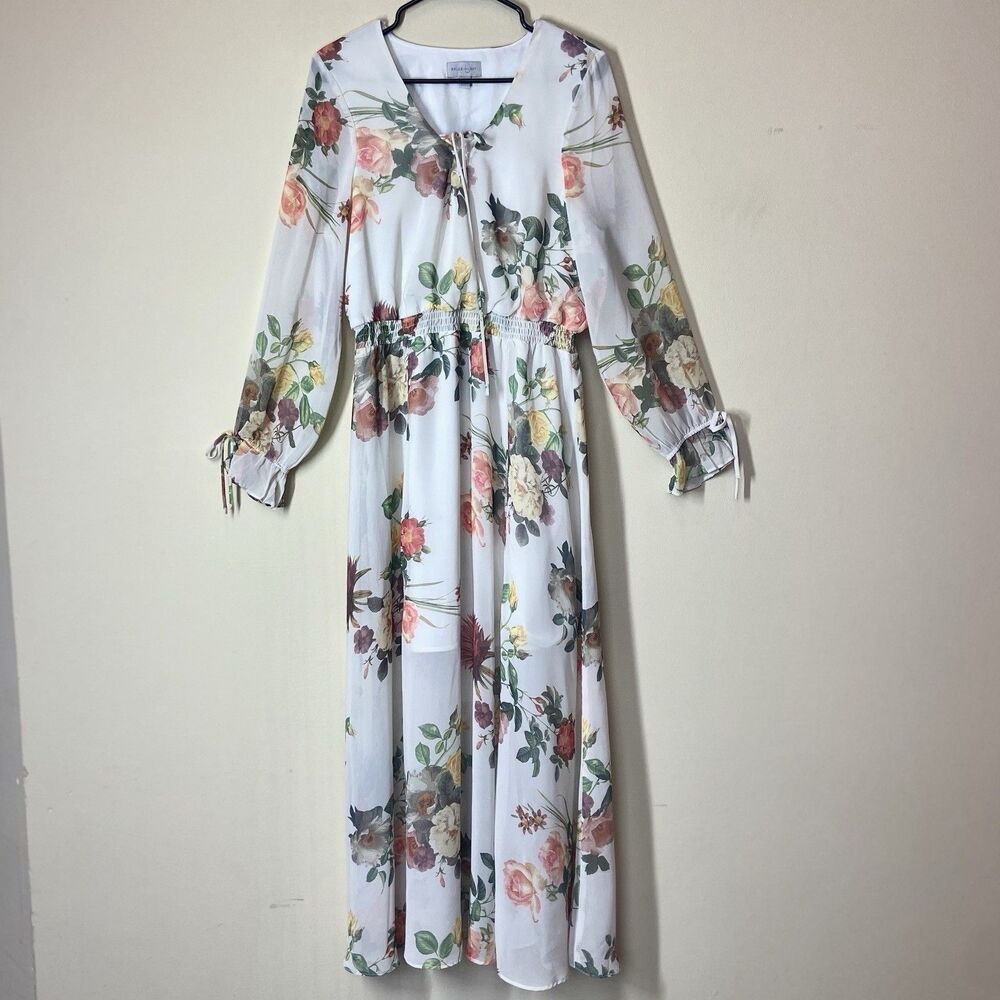 Belle + Sky Romantic Floral Maxi Dress Sheer Balloon Sleeves VNeck & Mini Lining